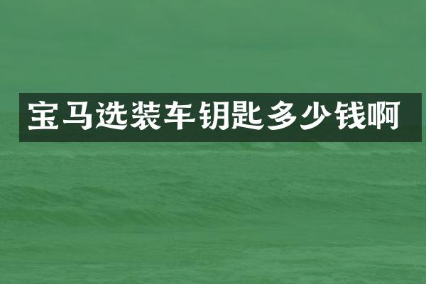 宝马选装车钥匙多少钱啊