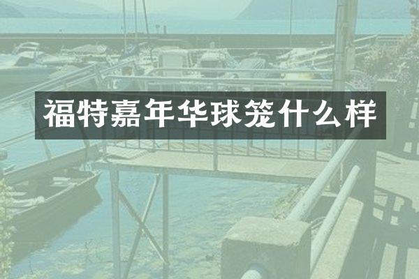 福特嘉年华球笼什么样