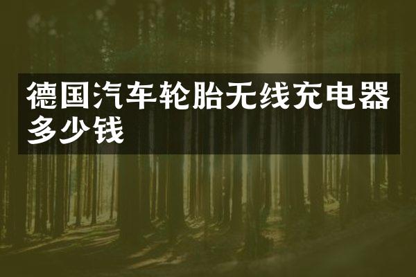 德国汽车轮胎无线充电器多少钱