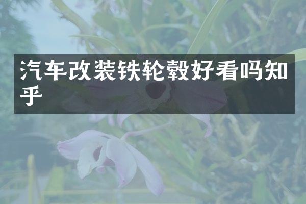 汽车改装铁轮毂好看吗知乎