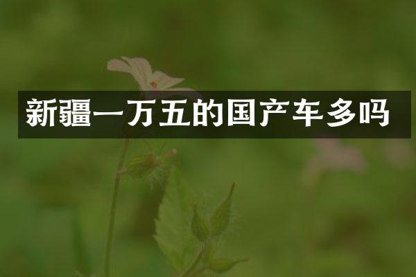 新疆一万五的国产车多吗