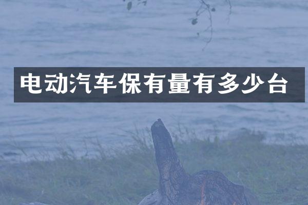 电动汽车保有量有多少台