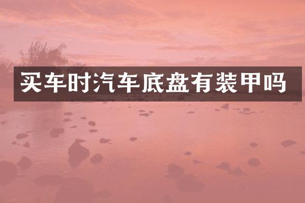 买车时汽车底盘有装甲吗