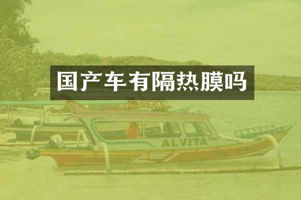 国产车有隔热膜吗