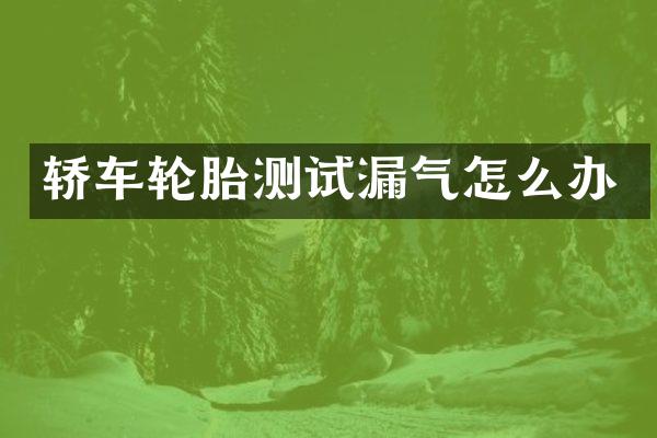 轿车轮胎测试漏气怎么办
