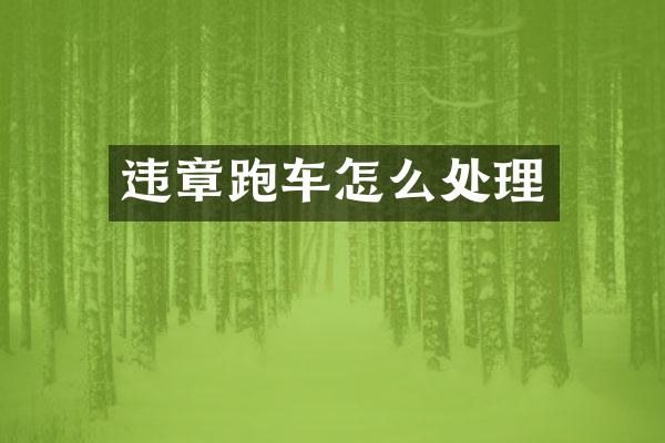 违章跑车怎么处理