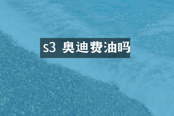 s3 奥迪费油吗