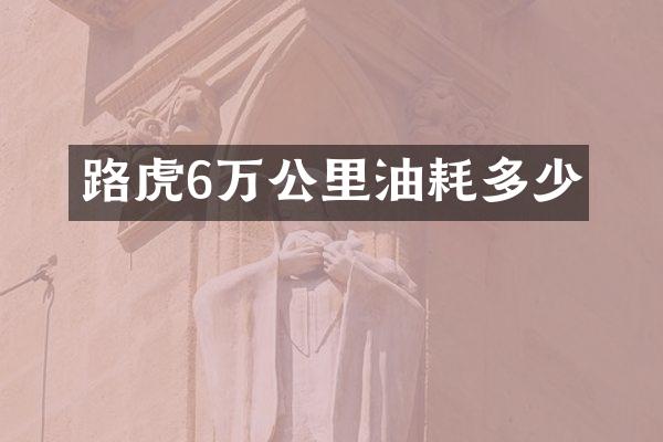 路虎6万公里油耗多少