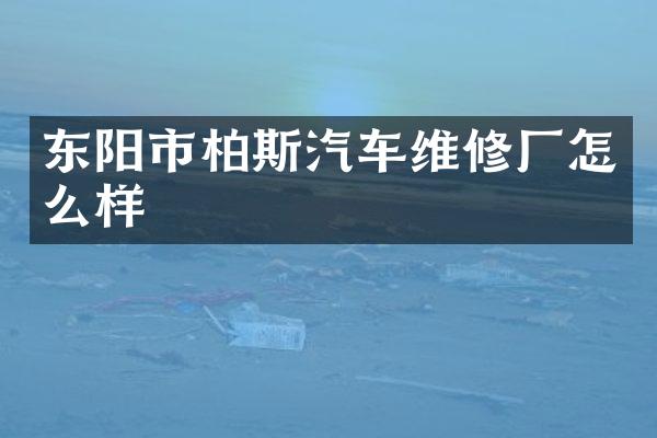 东阳市柏斯汽车维修厂怎么样