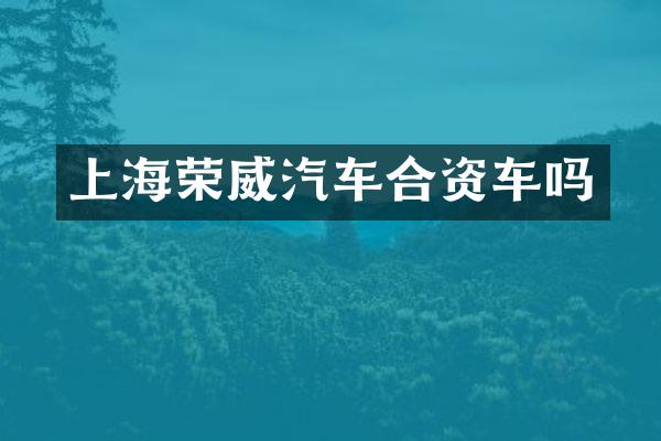 上海荣威汽车合资车吗