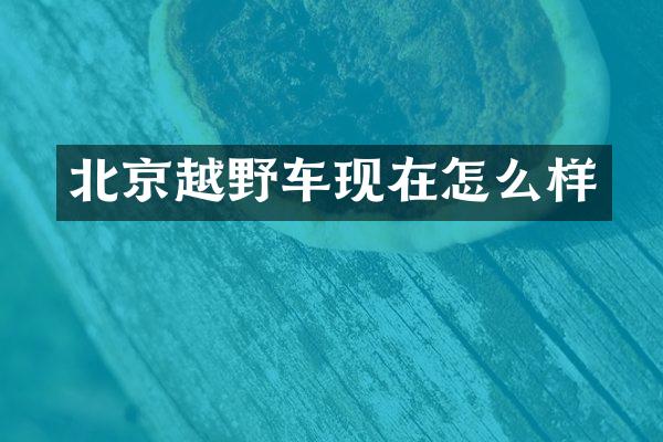 北京越野车现在怎么样