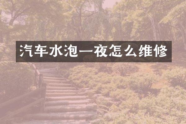 汽车水泡一夜怎么维修