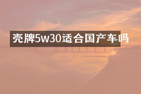 5w30适合国产车吗