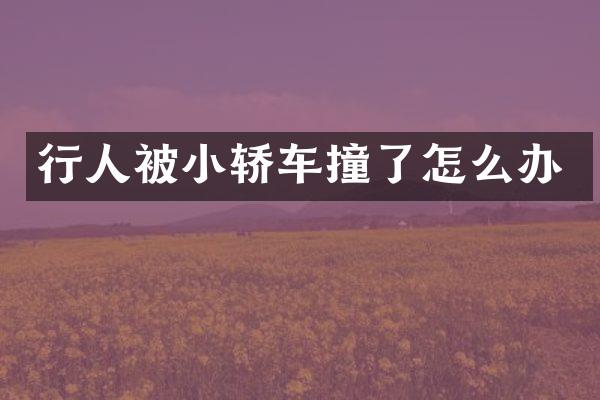 行人被小轿车撞了怎么办