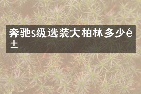 奔驰s级选装大柏林多少钱