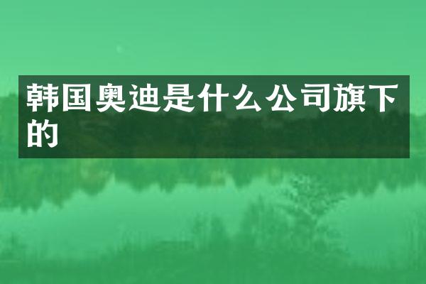 韩国奥迪是什么公司旗下的