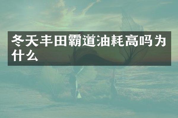 冬天丰田霸道油耗高吗为什么