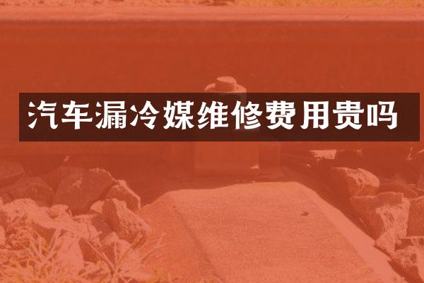 汽车漏冷媒维修费用贵吗