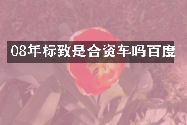 08年标致是合资车吗百度