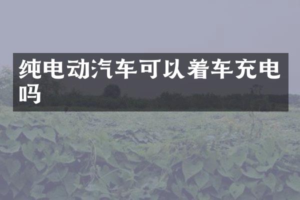 纯电动汽车可以着车充电吗