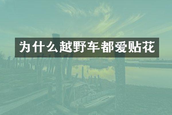 为什么越野车都爱贴花