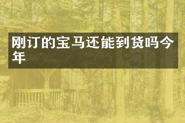 刚订的宝马还能到货吗今年