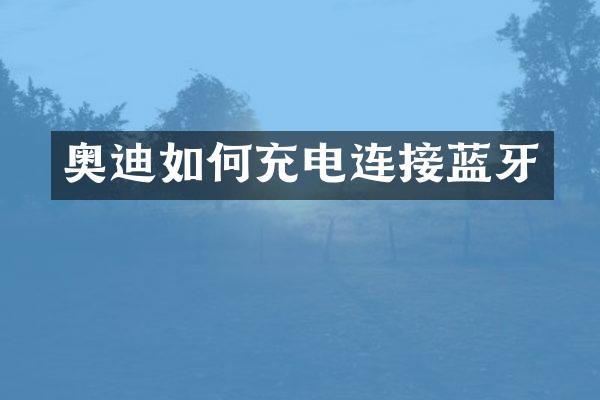奥迪如何充电连接蓝牙