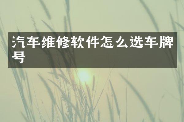 汽车维修软件怎么选车牌号