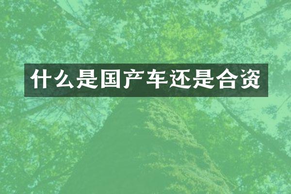 什么是国产车还是合资