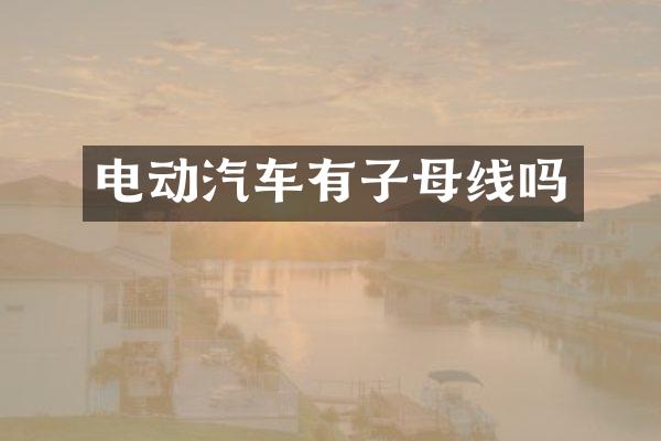 电动汽车有子母线吗