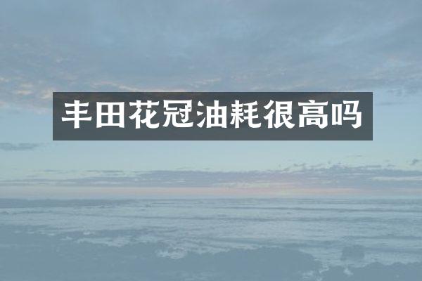 丰田花冠油耗很高吗