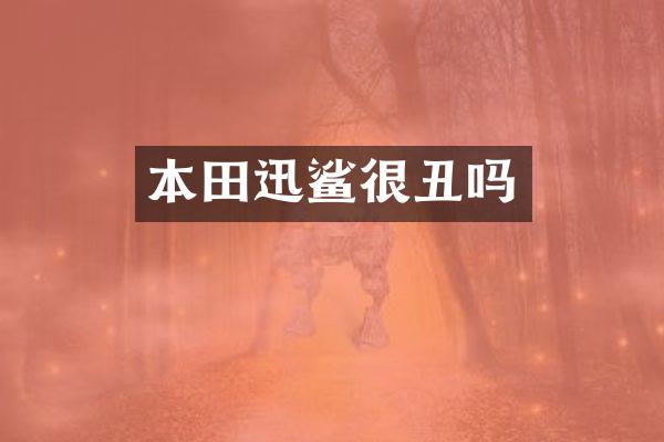 本田迅鲨很丑吗
