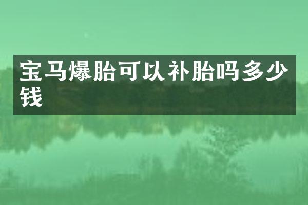 宝马爆胎可以补胎吗多少钱