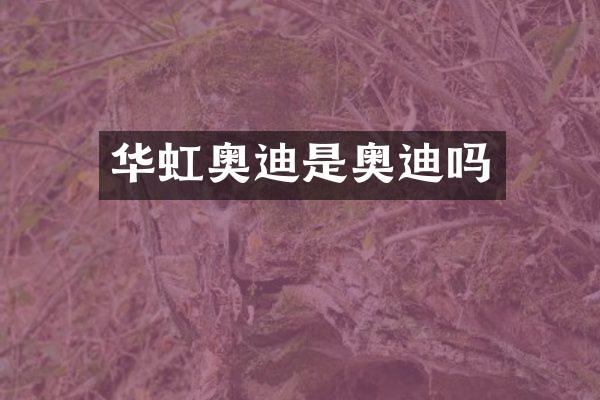华虹奥迪是奥迪吗