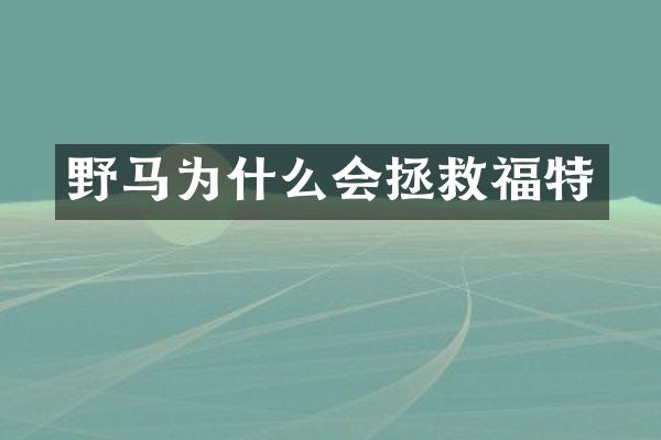野马为什么会拯救福特