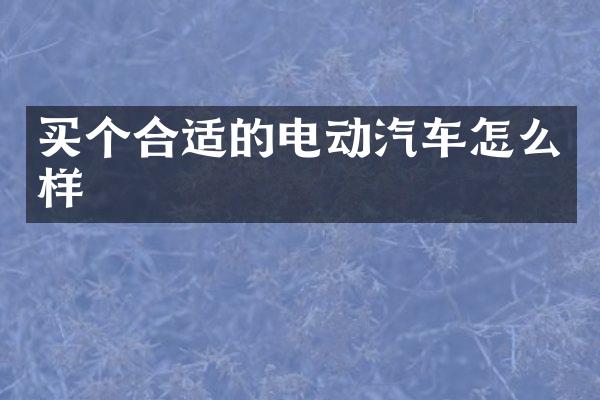 买个合适的电动汽车怎么样