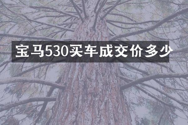 宝马530买车成交价多少