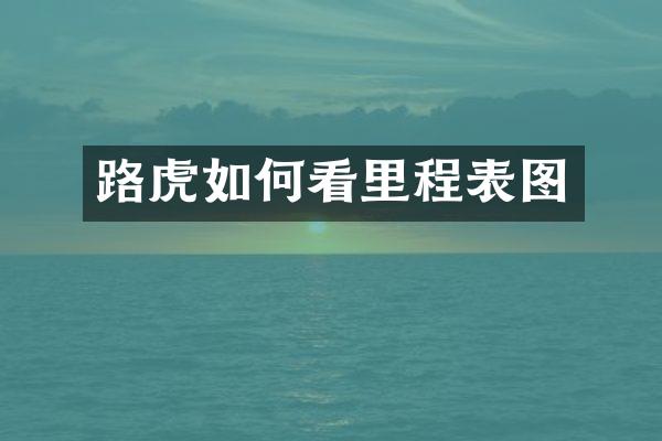 路虎如何看里程表图