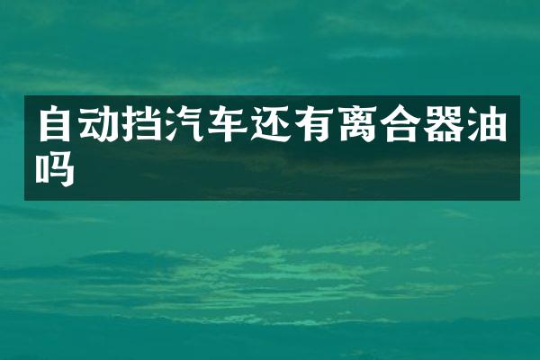 自动挡汽车还有离合器油吗
