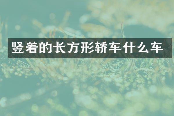 竖着的长方形轿车什么车