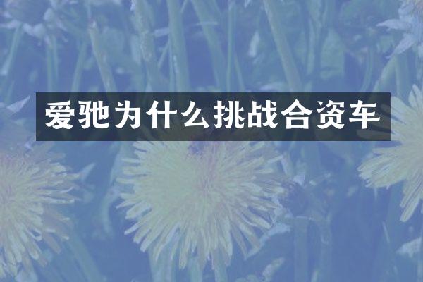 爱驰为什么挑战合资车