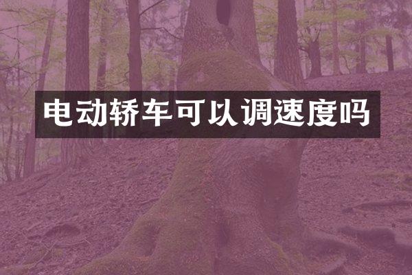 电动轿车可以调速度吗