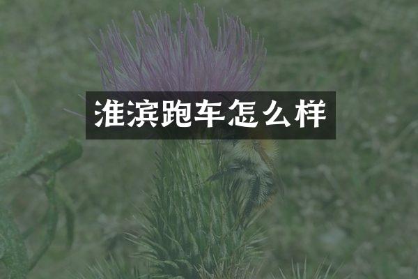 淮滨跑车怎么样