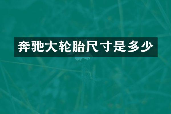 奔驰大轮胎尺寸是多少