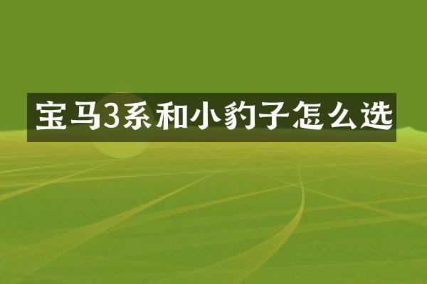 宝马3系和小豹子怎么选
