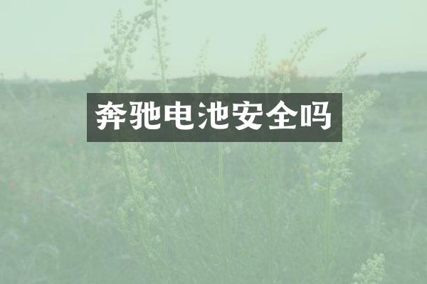 奔驰电池安全吗