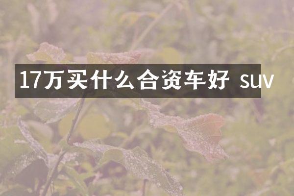 17万合资车好 suv