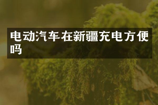电动汽车在新疆充电方便吗