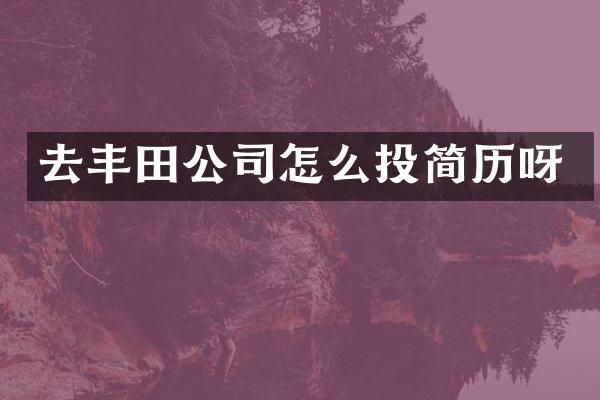 去丰田公司怎么投简历呀