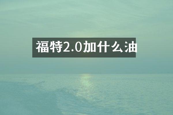 福特2.0加什么油